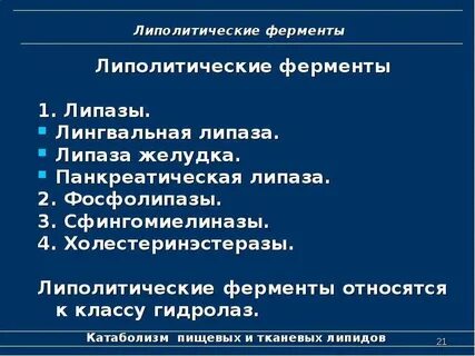 Ферменты участвующие в расщеплении жиров
