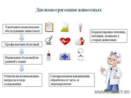 Диспансеризация животных