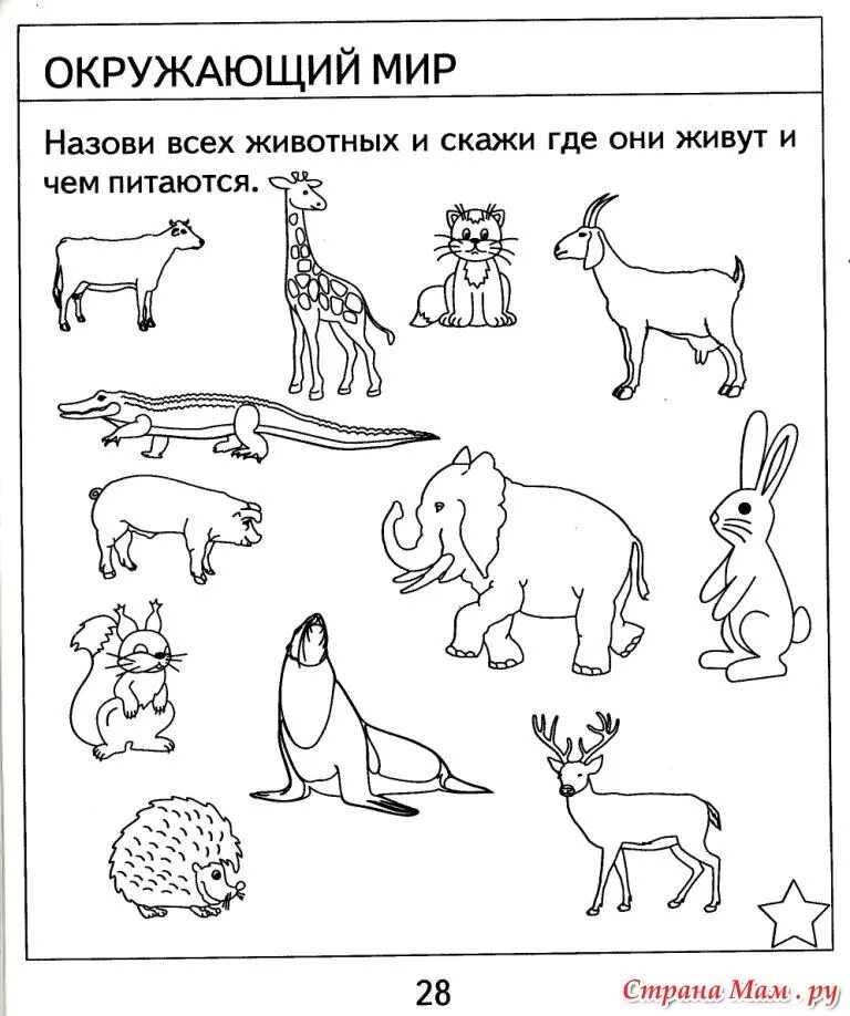 Домашние животные задания для дошкольников. Животные задания для дошкольников. Задания для малышей про животных. Задания с животными для детей. Животные задания для дошкольников.