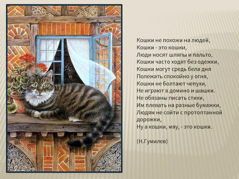 Песня человек и кошка