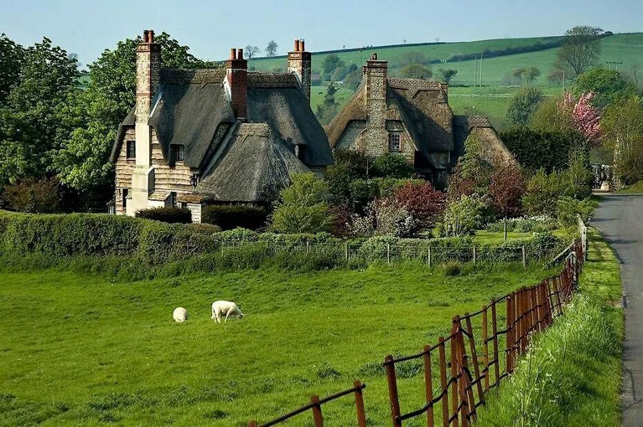 English countryside. Графство Девоншир Англия. Замки графства Девоншир Англия. Графство Девоншир домики. Графство Эссекс Англия пейзажи.