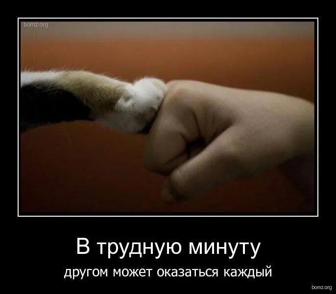 открытки с поддержкой в трудную минуту. стихи поддержки в трудную минуту. стихи поддержки в трудную минуту. стихи поддержки. стихи поддержки.