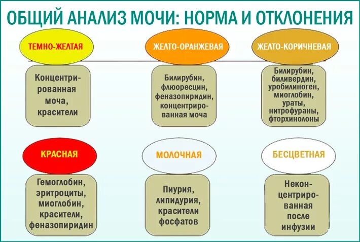 Какой должна быть моча в норме. Нормальный цвет мочи. Цвет мочи норма и отклонения. Цвет мочи при гломерулонефрите. Цвет мочи при заболевании почек.