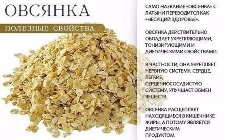 Чем полезна овсянка. Овсянка полезные свойства. Польза овсянки для организма. Чем полезна овсяная каша для организма. Какие хлопья полезнее