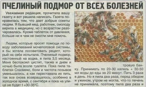 Пчелиный подмор инструкция