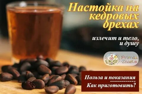 Сколько настаивать кедровые орехи