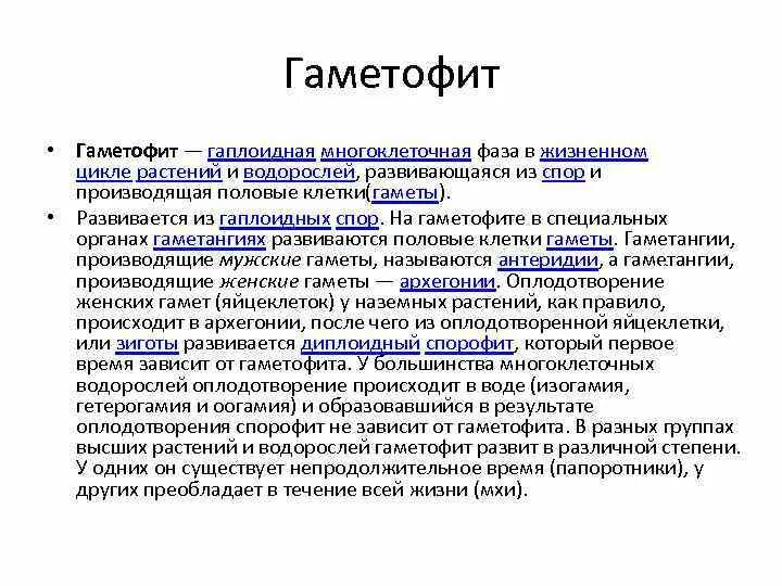 Гаметофитом называется. Гаметофит. Гаметофит это в биологии. Гаплоидный гаметофит. Гаметофит определение.