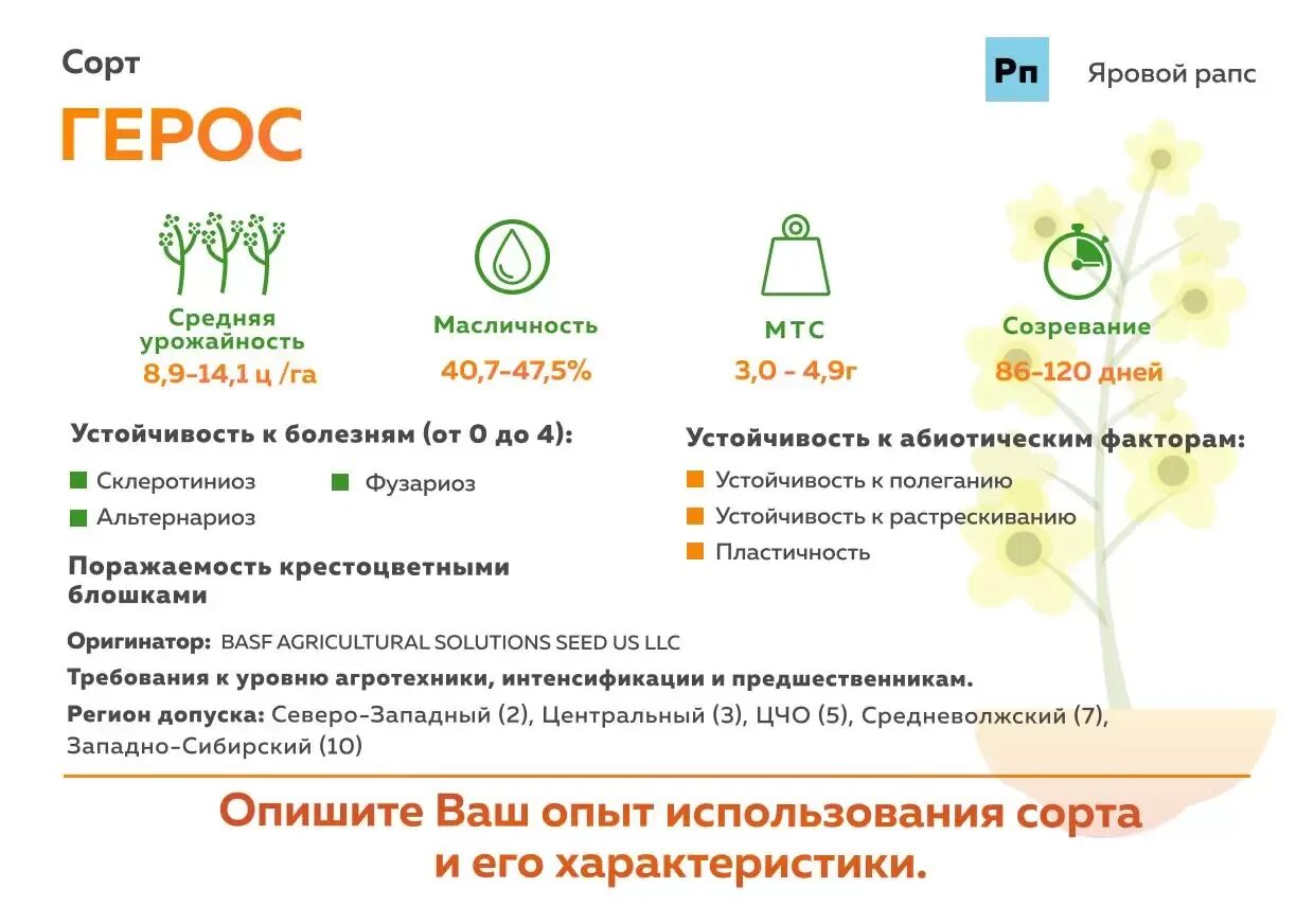 Норма высева ярового рапса. Урожайность рапса ярового. Урожайность рапса ярового. Схема защиты ярового рапса. Норма высева озимого рапса.