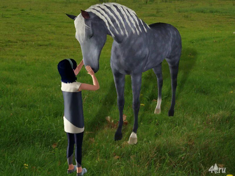 симс 3 мир питомцы. симс 2 лошади. чит коды симс лошади. Sims 3 питомцы конюшня. симс 3 питомцы лошади.
