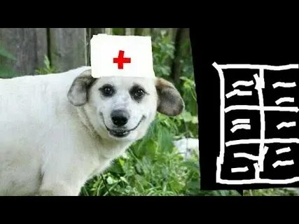 Собака съела товар