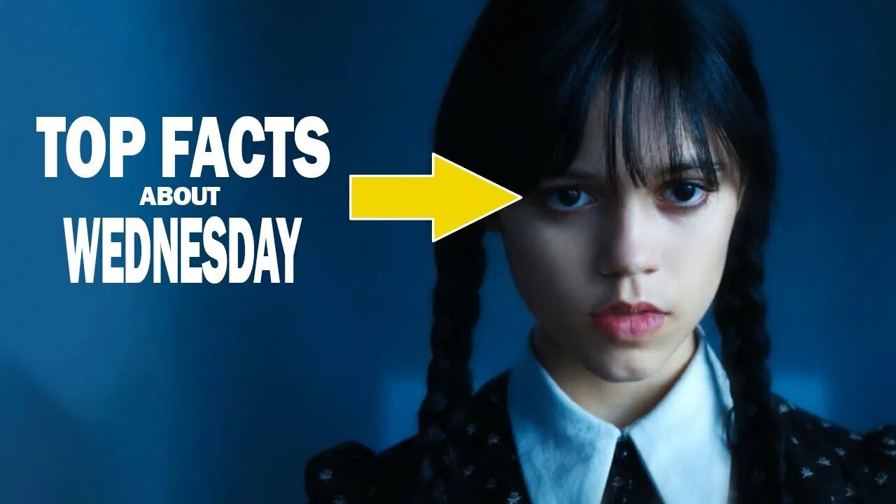 Wednesday Нетфликс. Wednesday Netflix кошки. Среда Нетфликс. Wednesday Netflix одежда. Fact 15