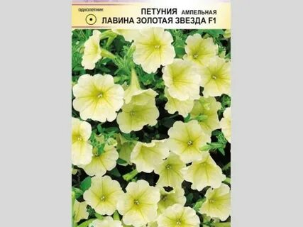 Петуния золотая звезда