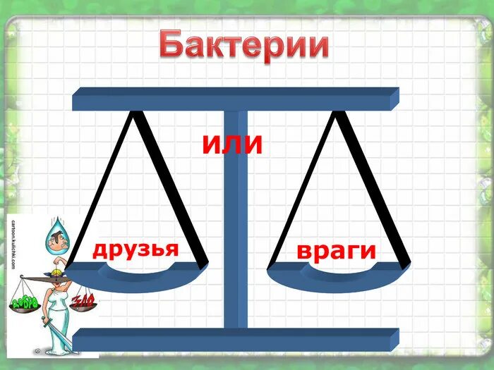 Микробы друзья или враги. Микробы друзья или враги