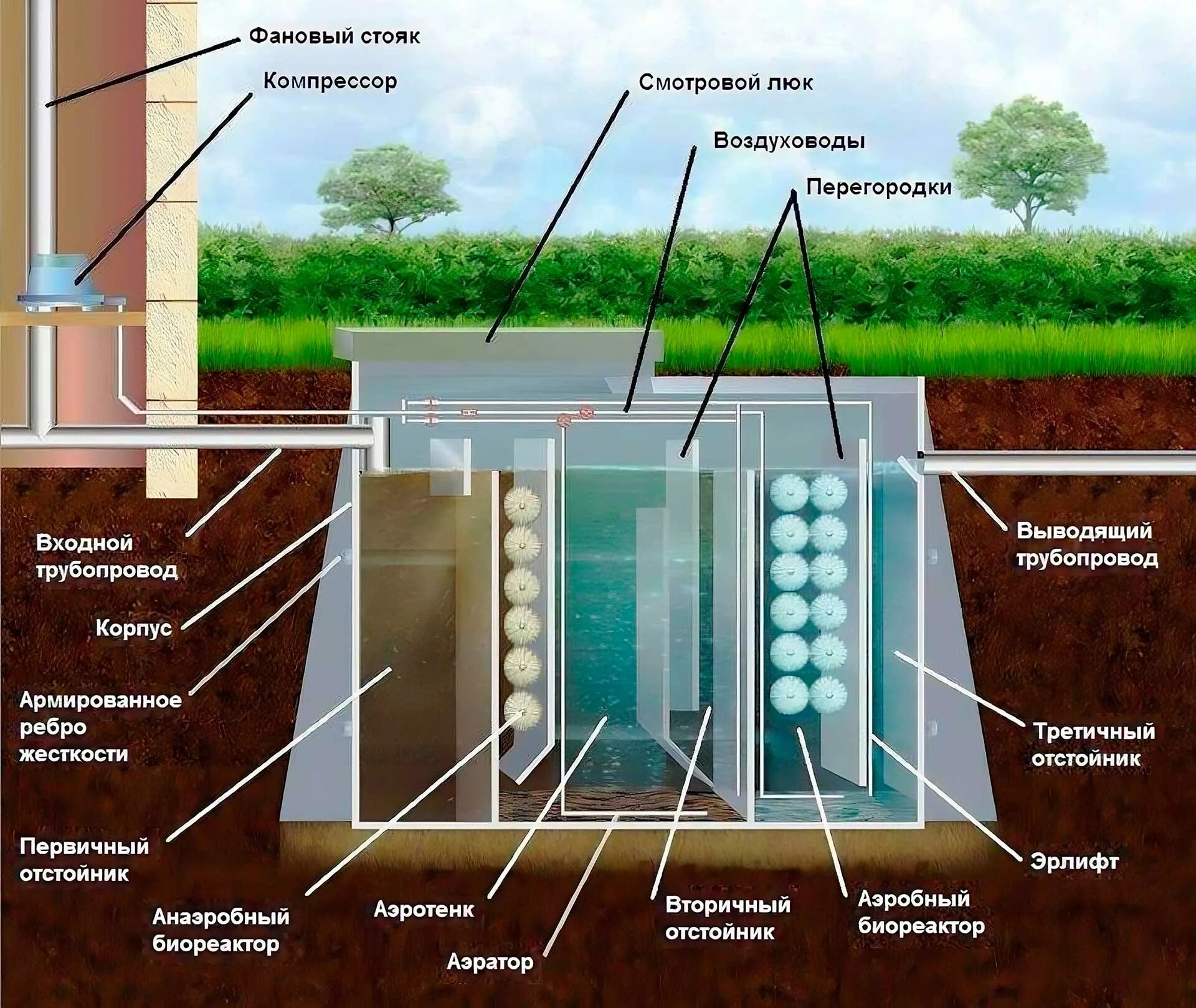 Воды зоны аэрации. Септик Тверь схема работы. Септик Тверь схема. Септики принцип работы схема. Станция глубокой биологической очистки схема.