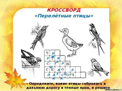 Кроссворд птицы
