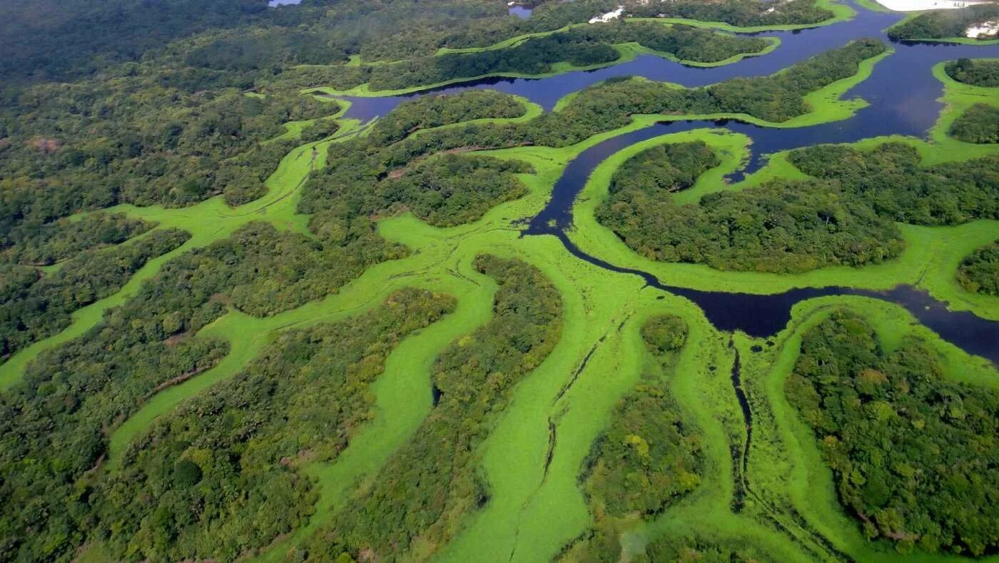 Страны бассейна амазонки и ла платской. Река Амазонка в Бразилии. Бразилия Амазонская низменность. Манаус Бразилия Амазонка. Южная Америка Амазонская низменность.