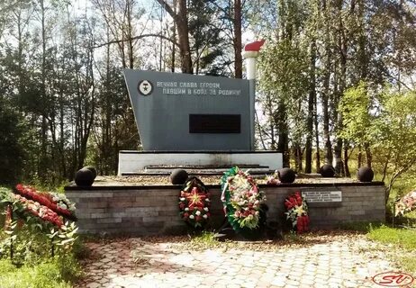 Ленинградская область 41к 313 30