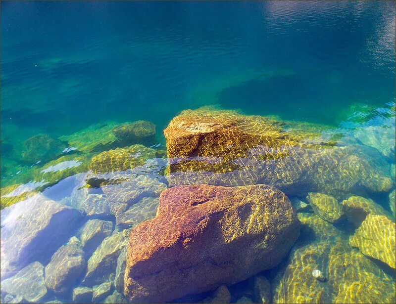 Москва подводные камни. Камни на дне моря. Морское дно камни. Подводный камень. Камни на дне океана.