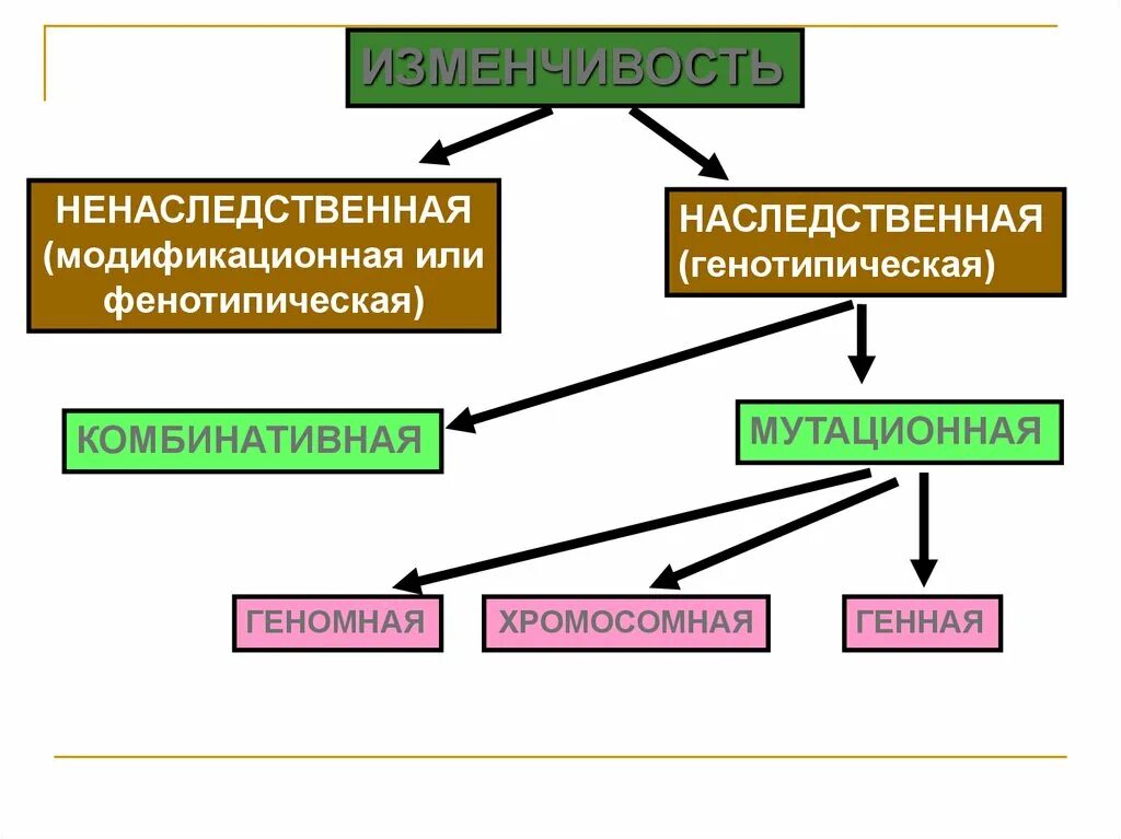 Изменчивость таблица биология. Изменчивость наследственная и ненаследственная схема. Закономерности изменчивости мутационная изменчивость схема. Фенотипическая изменчивость схема. Изменчивость модификационная генетическая мутационная схема.