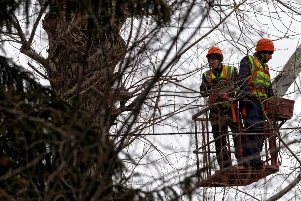Ордер на демонтаж здания. Письмо о сносе зеленых насаждений. Распоряжение о сносе здания. Согласование сноса. Армирование ж/б крыльца.
