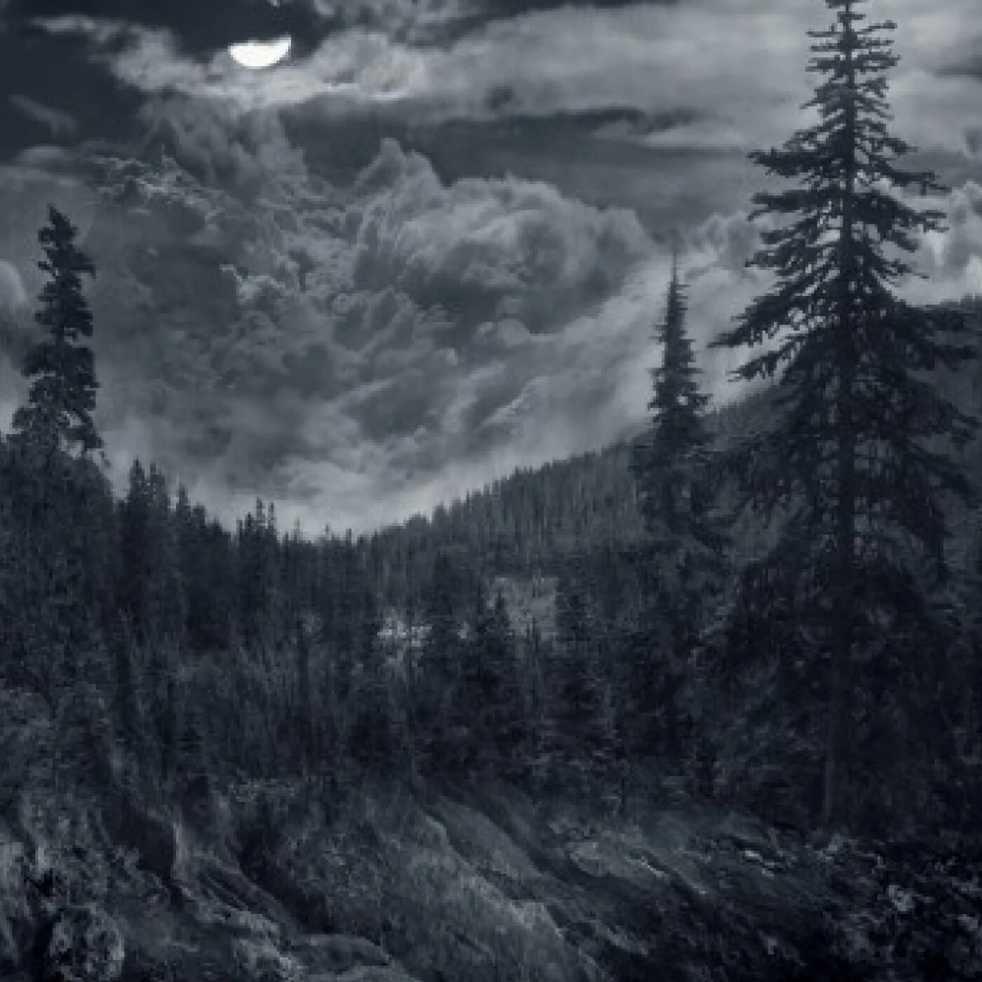 Black metal лес. атмосферик black metal.