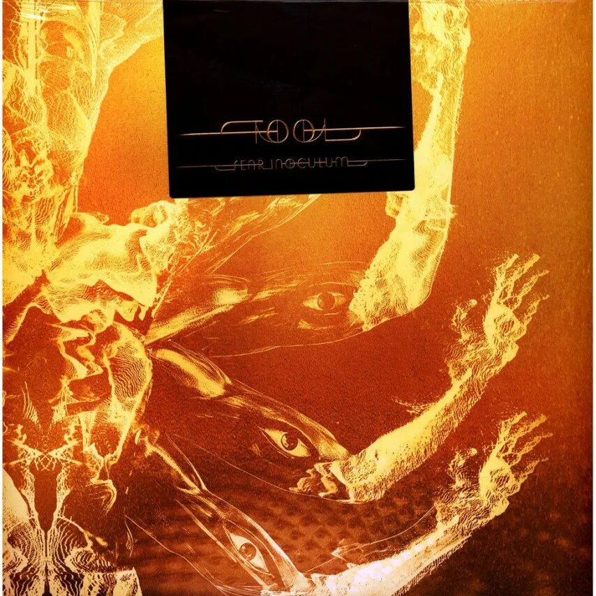 Tool fear inoculum. Tool Fear inoculum Vinyl. Tool Fear inoculum 2022. Tool Fear inoculum Cover.