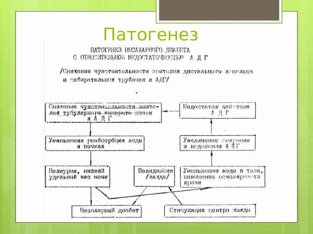 Патогенез центрального несахарного диабета. Несахарный диабет развивается в результате дефицита. Несахарный диабет патогенез схема. Нефрогенный несахарный диабет. Патогенез центрального несахарного диабета.
