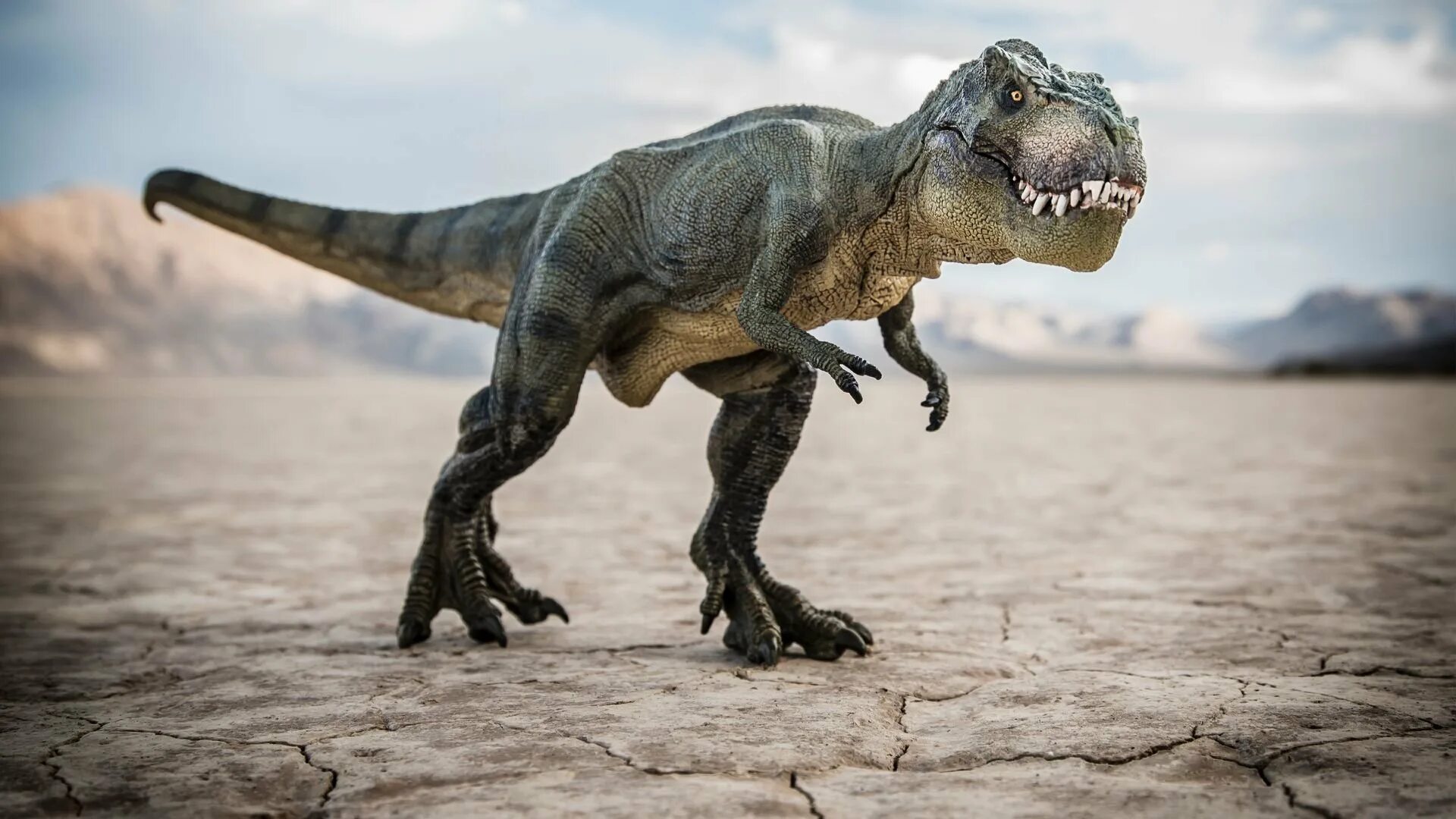 Тираннозавр картинки. Рекс Тирекс. Тиланнозавр Лекс. Динозавр Тираннозавр рекс. Тираннозавр рекс Тирекс Тирекс.