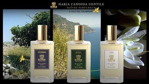 Maria candida