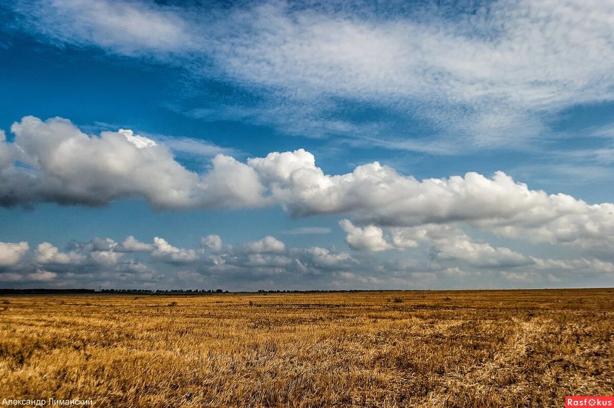 Сарыозекская степь. Сентябрь в степи. Сентябрь в степи. Поле степь дорога. Просторы оренбуржья.