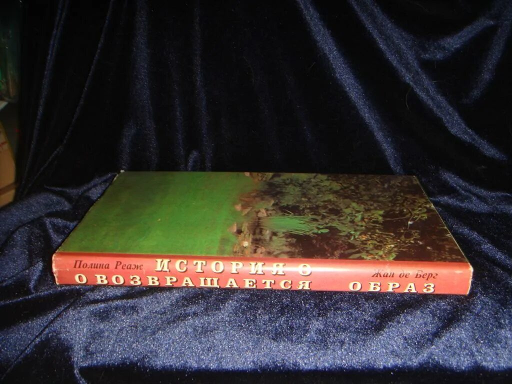 Берг произведения. История о Полин реаж иллюстрации. Полин реаж история о коллекционное издание.