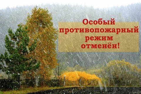 Погодные условия осенью