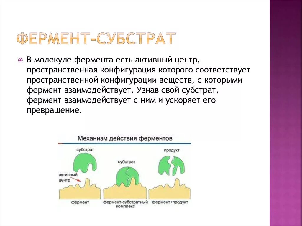 Являться активный