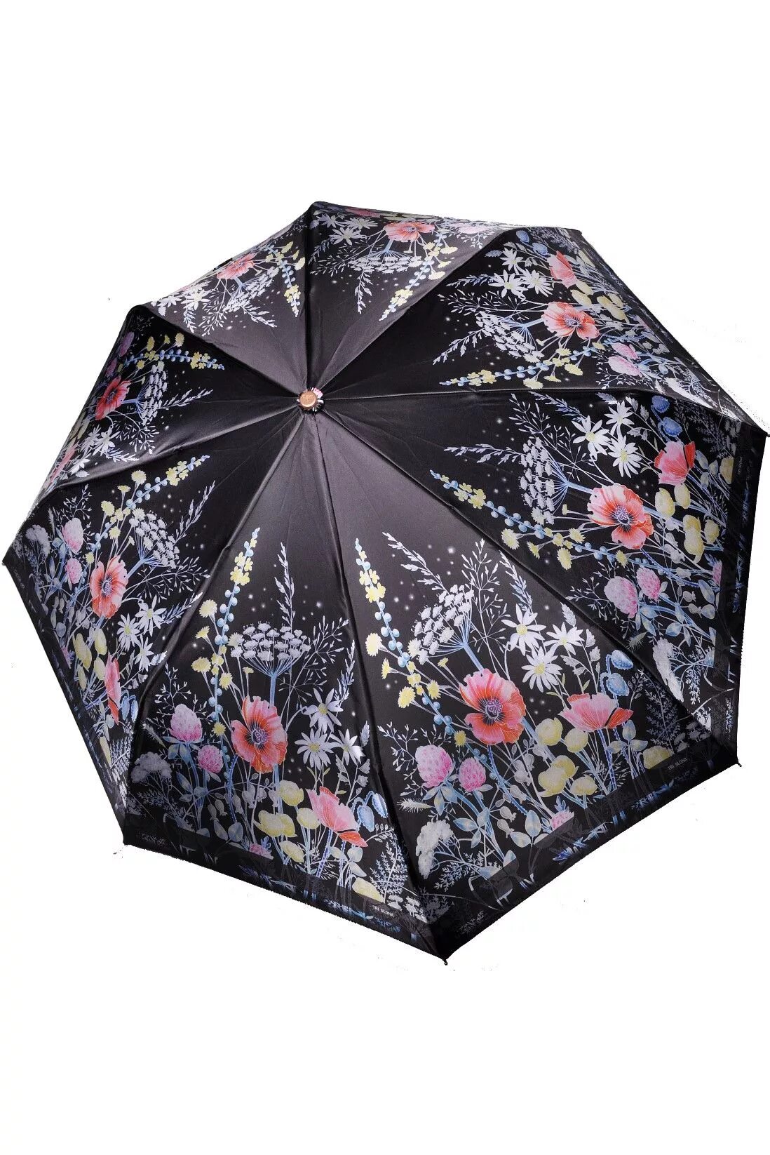 Зонт три слона женский автомат. Мини зонт три слона. Зонтик три слона. Зонт три слона 3818. Зонты три слона на вайлдберриз.