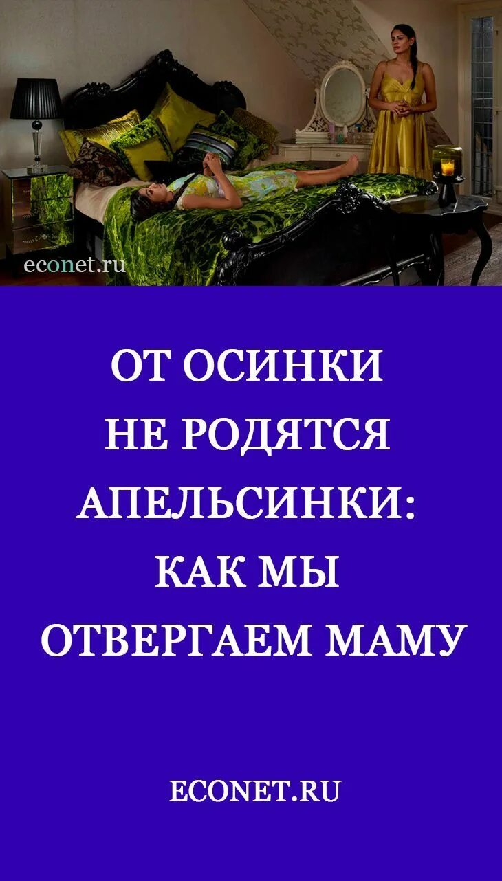 От Осинки не родятся апельсинки фото.