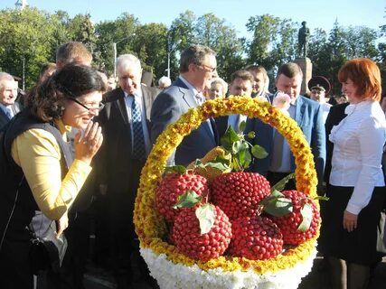Синоптик мичуринск тамбовская область
