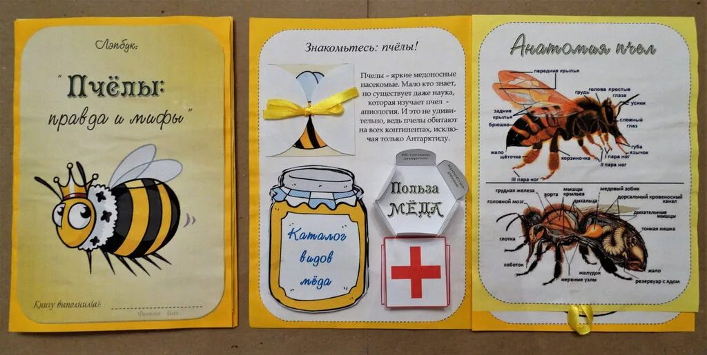 Время лета пчел: найдено 90 картинок