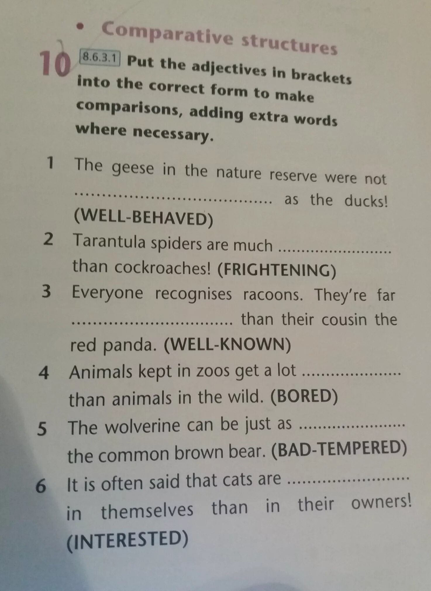 Put the adjectives in Brackets into the correct. Put the adjectives in Brackets. Put the adjectives in the correct form. Put the Words in Brackets in the correct form.. Choose the correct form of adjective