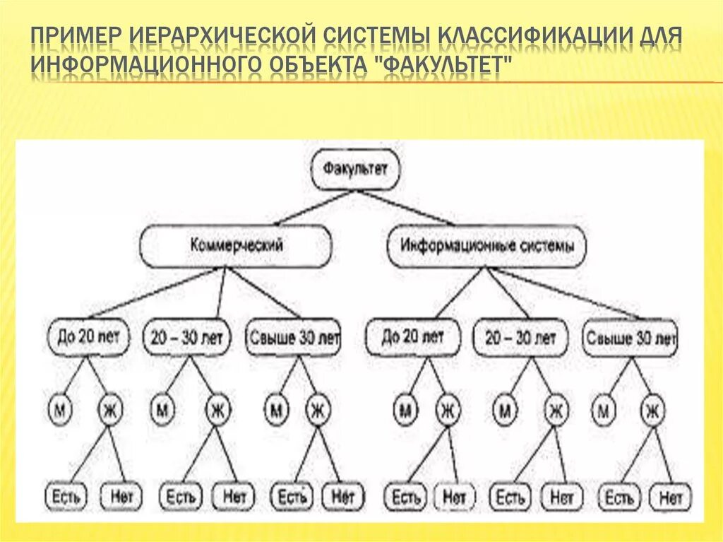 Иерархического способа организации данных. Система иерархии. Иерархия примеры. Иерархического метода классификации. Система иерархии примеры.