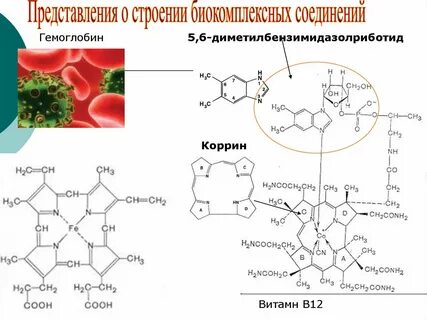 Гемоглобин комплексное соединение