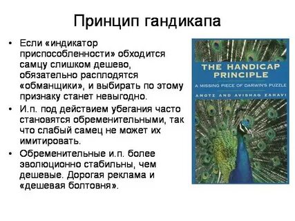 В современной биологии существует концепция гандикапа