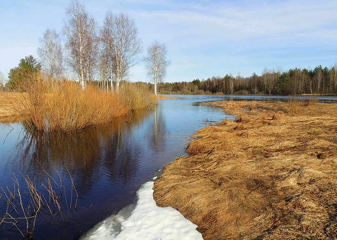 волга устье эстуарий. вода в природе. река. река весной. вода берег.