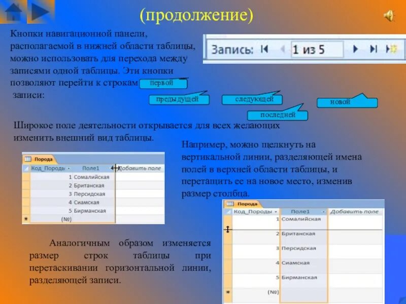 Строка в таблице. Ширина строк в таблице. Строка таблицы в Microsoft access это. Размер строки.