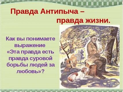 Антипыч кладовая солнца