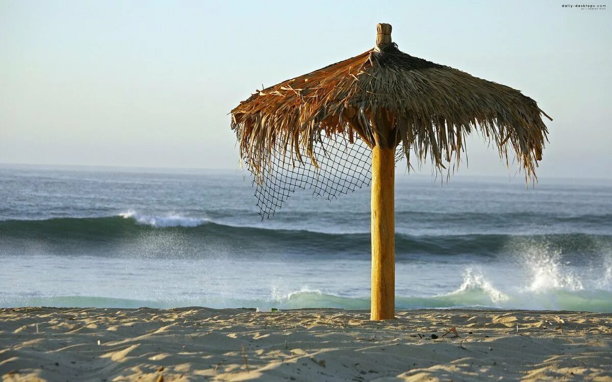 Зонт Пальма. Зонтик на пляже. Пляж пальмы зонтик. Зонт для пляжа.