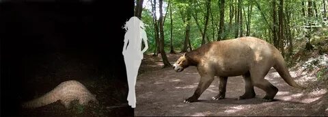 Вымершие отряды млекопитающих