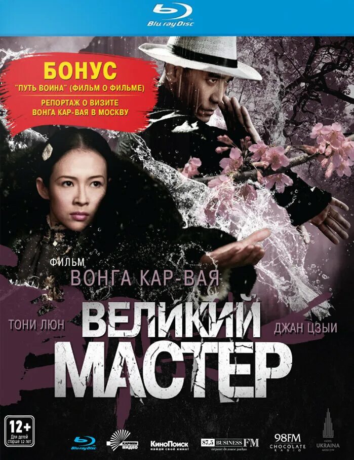 Самый великий мастер. Великий мастер вонг кар вай. великий мастер постер.