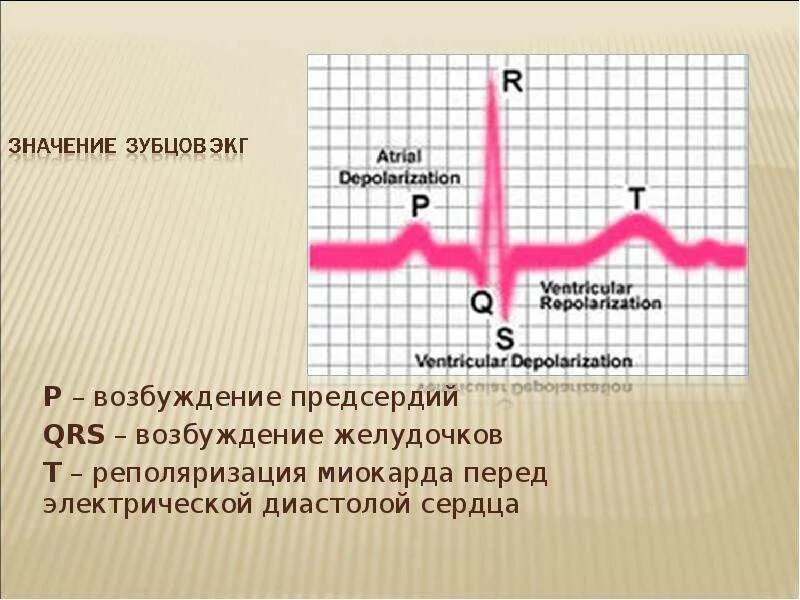 Значение экг. Интервал р на ЭКГ. Зубцы электрокардиограммы. Сердечный цикл на ЭКГ.