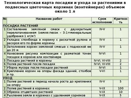 Технологическая карта цветов