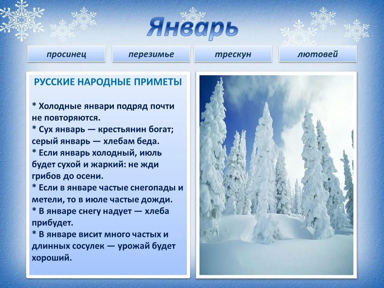 Месяц сильных морозов. Приметы января. Календарь природы зима. Январские приметы. Приметы января для детей.